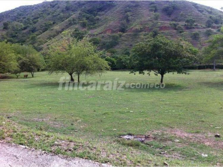 LOTE EN VENTA – SANTA FE DE ANTIOQUIA