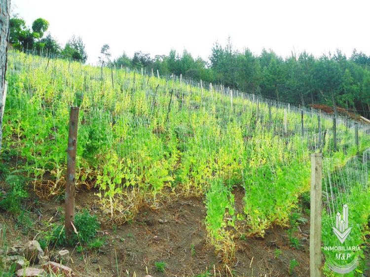 ¡Se vende Finca en Boyacá, 3 fanegadas con galpones!