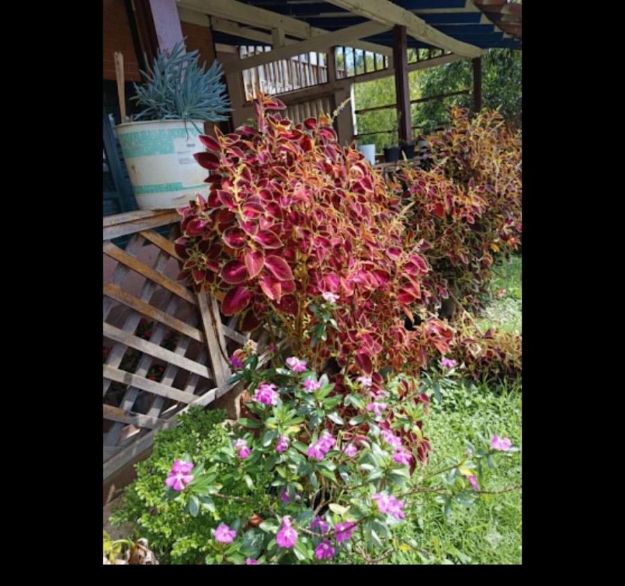 Foto Casa en Venta en Medellín, Antioquia - $ 310.000.000 - CAV214389 - BienesOnLine