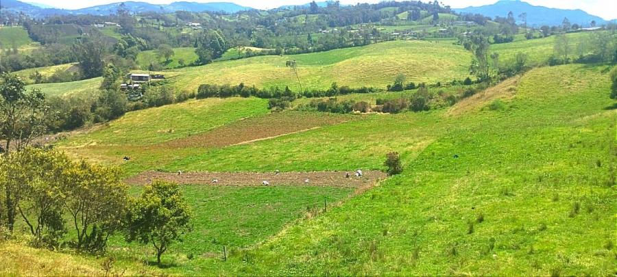 Foto Finca en Venta en SECTOR RIO BOBO, Pasto, Nariño - $ 2.600.000.000 - FIV212209 - BienesOnLine