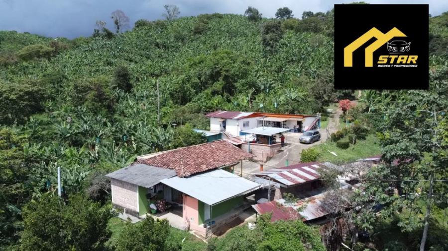 Foto Finca en Venta en Viterbo, Caldas - $ 1.350.000.000 - FIV212412 - BienesOnLine