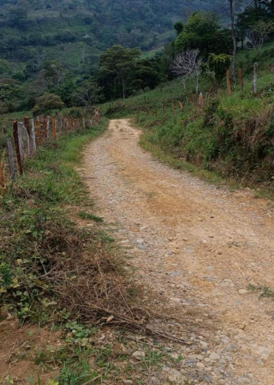 Home in Metric Way