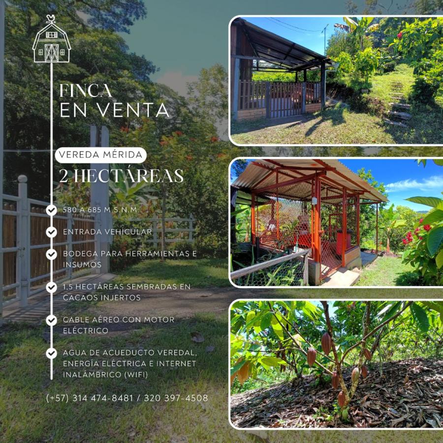Foto Finca en Venta en San Vicente de Chucurí, Santander - $ 280.000.000 - FIV213163 - BienesOnLine