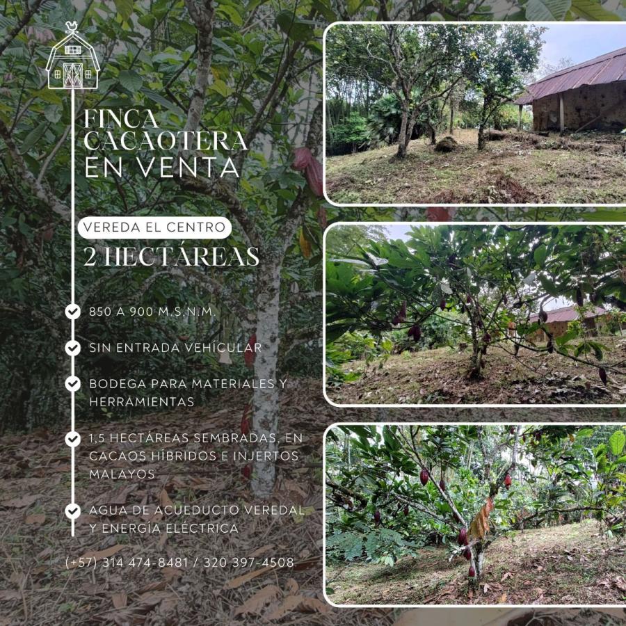 Foto Finca en Venta en San Vicente de Chucurí, Santander - $ 160.000.000 - FIV213177 - BienesOnLine