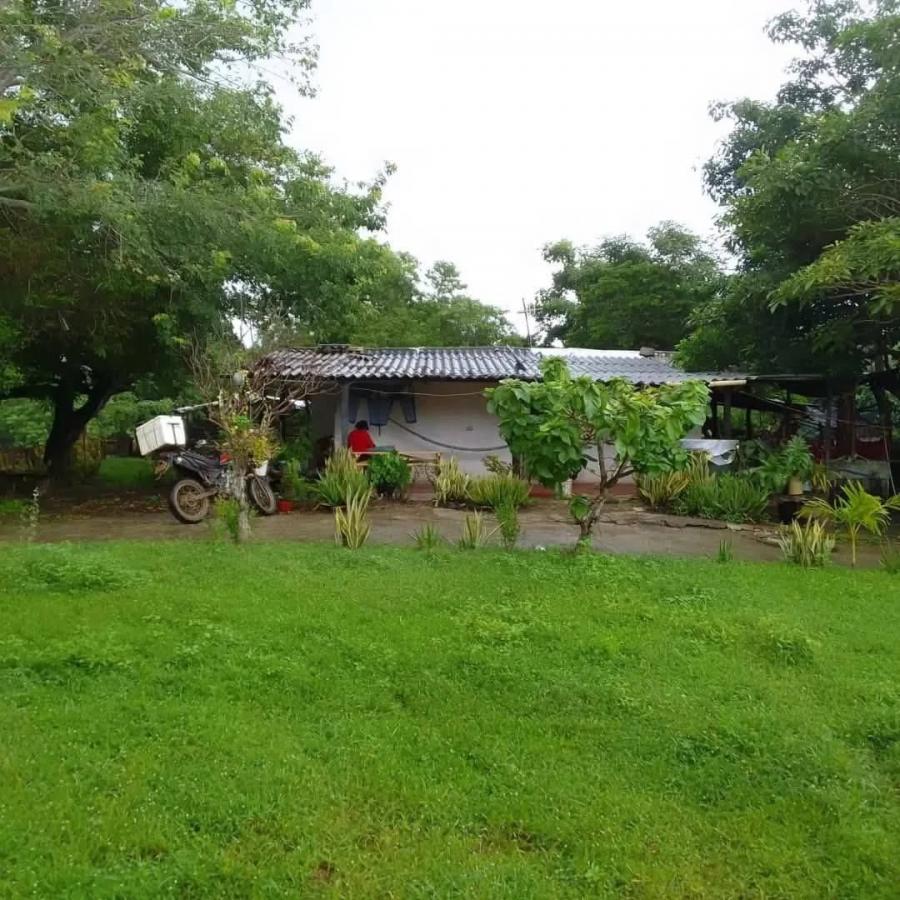 Foto Finca en Venta en Piojó, Atlántico - 10 hectareas - $ 100.000 - FIV213508 - BienesOnLine