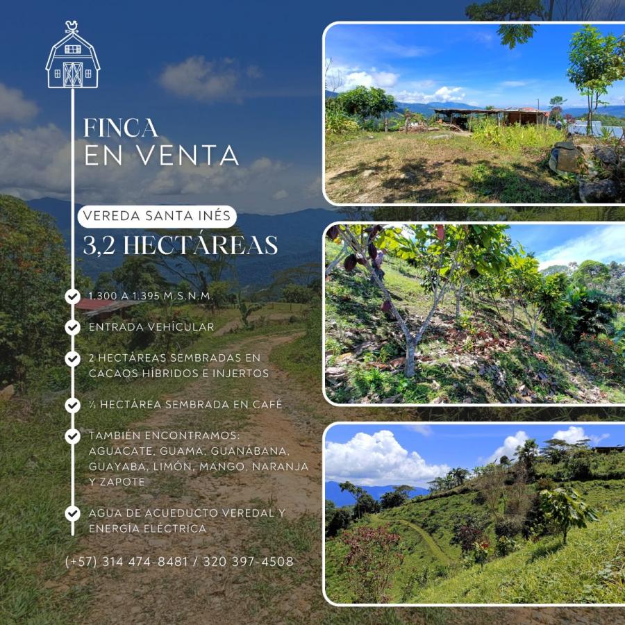 Foto Finca en Venta en San Vicente de Chucurí, Santander - $ 250.000.000 - FIV213715 - BienesOnLine
