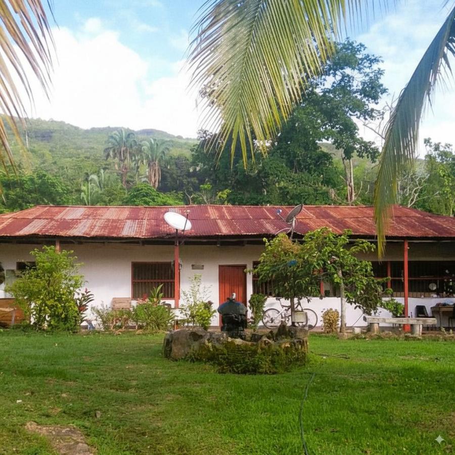 Foto Finca en Venta en Ibagué, Tolima - $ 2.132.999.998 - FIV213845 - BienesOnLine