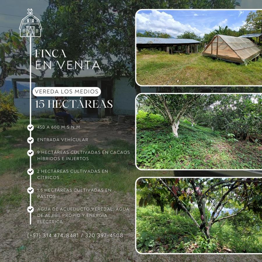 Foto Finca en Venta en San Vicente de Chucurí, Santander - $ 380.000.000 - FIV213937 - BienesOnLine