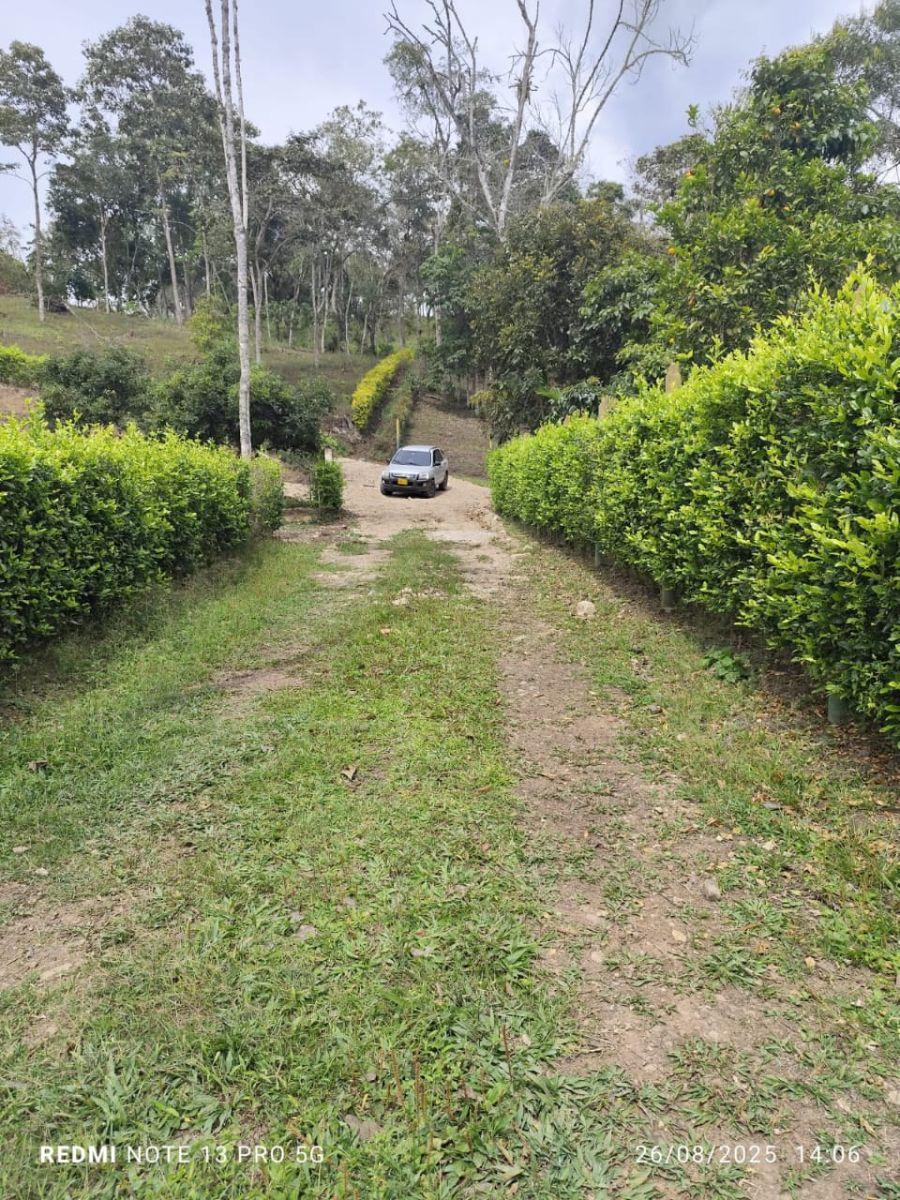 Foto Lote en Venta en Vianí, Facatativá, Cundinamarca - LOV213805 - BienesOnLine
