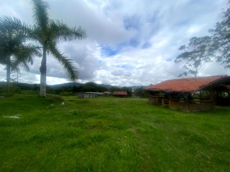 Venta de Espectacular Lote en Calima (Darién)