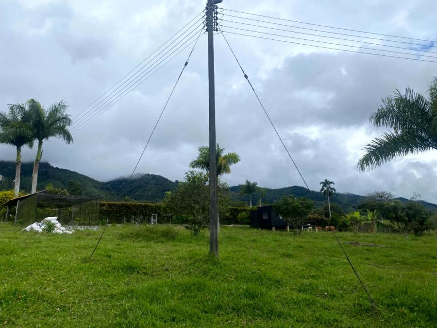 Foto Lote en Venta en Darién, Valle del Cauca - $ 456.800.000 - LOV202349 - BienesOnLine