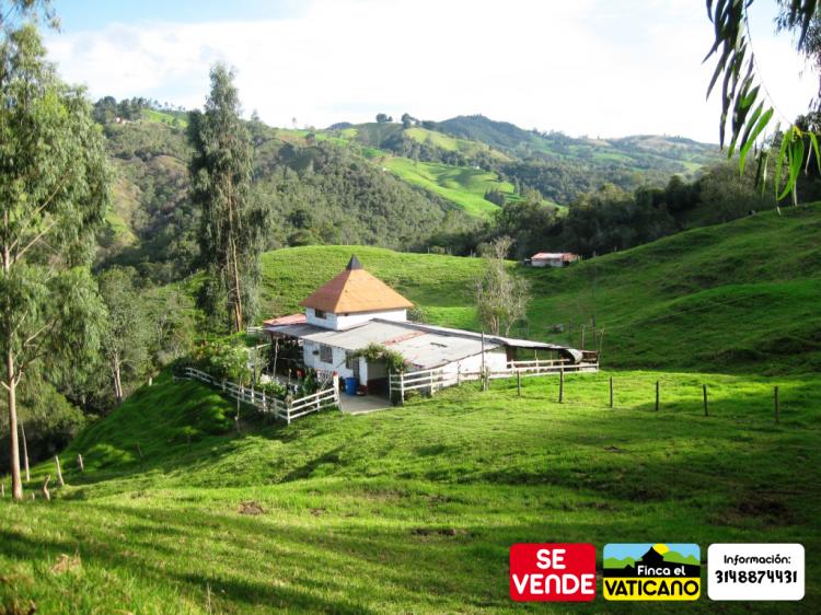 Foto Finca en Venta en San Pedro de los Milagros, Antioquia - $ 350.000.000 - FIV15546 - BienesOnLine