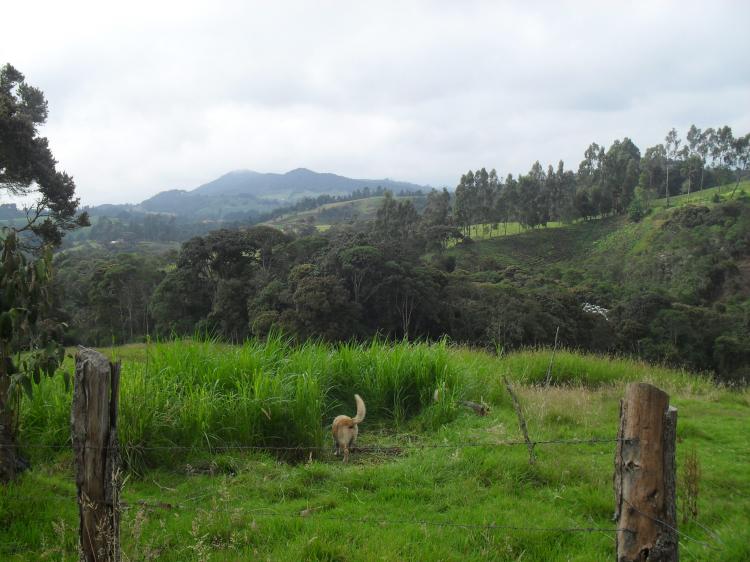 Foto Lote en Venta en Rionegro, Antioquia - $ 370.000.000 - LOV17554 - BienesOnLine