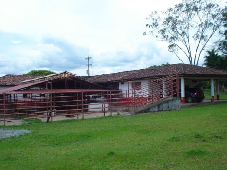 Foto Finca en Venta en Armenia, Quindío - $ 2.147.483.647 - FIV26554 - BienesOnLine