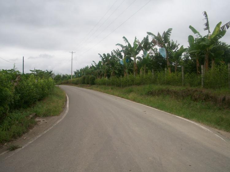 Finca sector del caimo