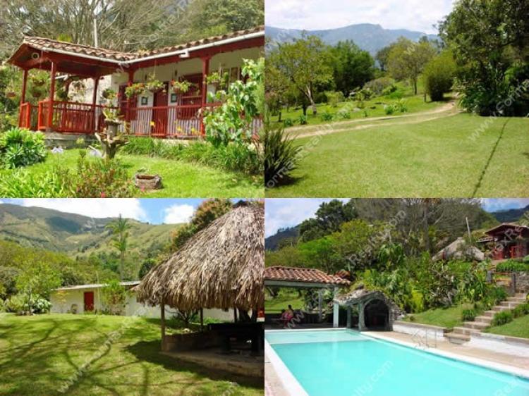 Foto Finca en Venta en Medellín, Antioquia - $ 400.000.000 - FIV48303 - BienesOnLine