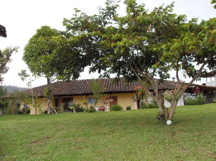 Foto Finca en Venta en vereda mesitas, San Agustín, Huila - $ 570.000.000 - FIV2202 - BienesOnLine