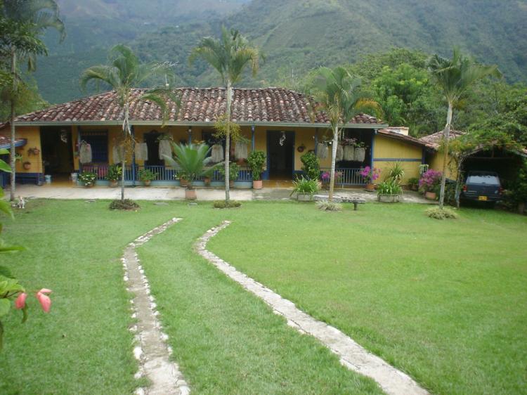 Foto Finca en Venta en Fredonia, Antioquia - $ 160.000.000 - FIV17194 - BienesOnLine