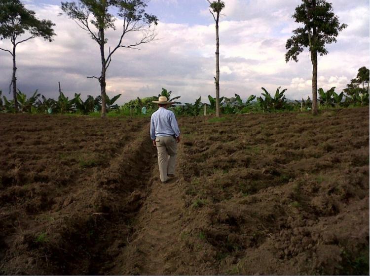 Foto Finca en Venta en Quimbaya, Quindío - $ 2.147.483.647 - FIV38773 - BienesOnLine