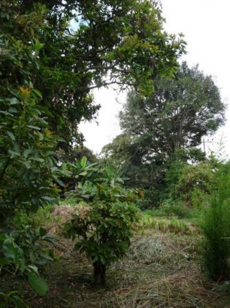 Foto Lote en Venta en Fusagasugá, Cundinamarca - U$D 780.000 - LOV33952 - BienesOnLine