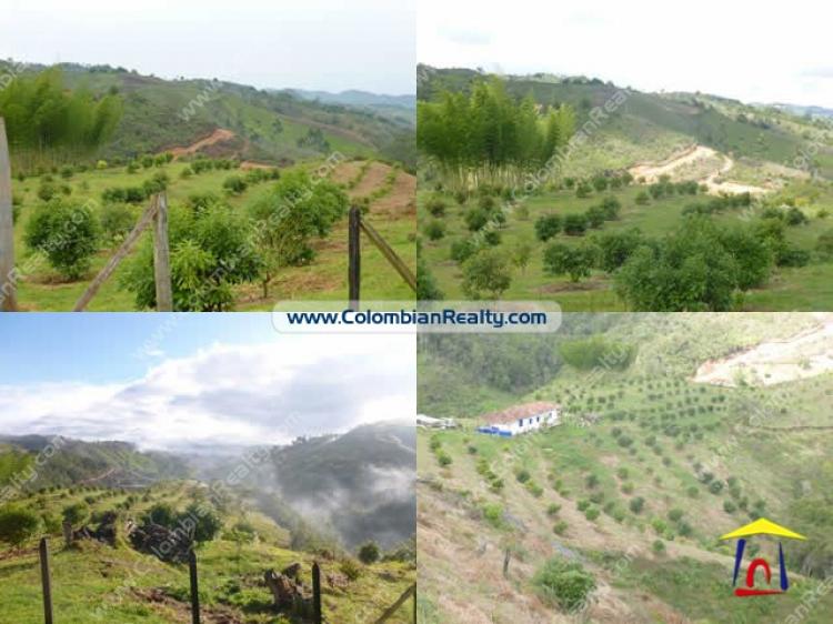 Foto Finca en Venta en Medellín, Antioquia - U$D 800.000.000 - FIV40912 - BienesOnLine