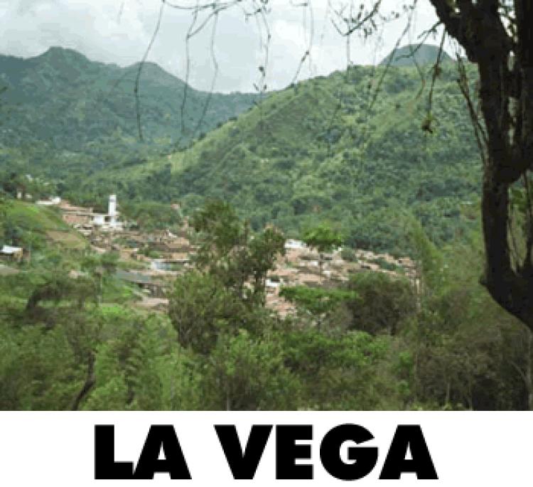 Foto Lote en Venta en la cabaña, La Vega, Cundinamarca - 2 hectareas - $ 200.000.000 - LOV17495 - BienesOnLine