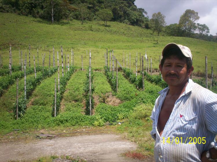Foto Lote en Venta en Darién, Valle del Cauca - $ 110.000.000 - LOV27669 - BienesOnLine