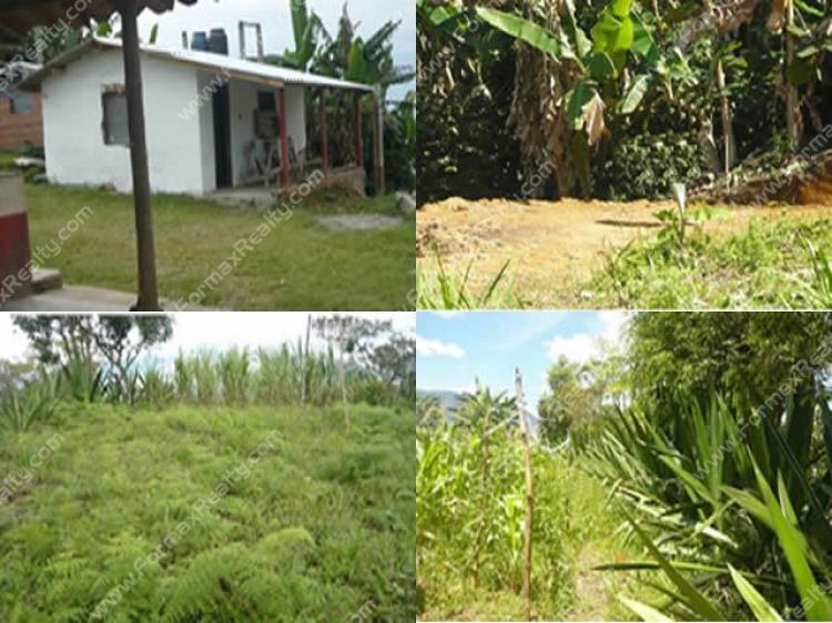 Foto Finca en Venta en poblado, Medellín, Antioquia - $ 170.000.000 - FIV40995 - BienesOnLine