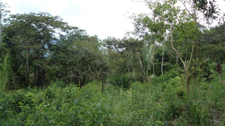 Foto Lote en Venta en Barbosa, Antioquia - 2 hectareas - $ 450.000.000 - LOV51743 - BienesOnLine