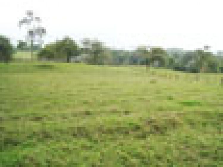 Foto Lote en Venta en Armenia, Quindío - $ 50.000.000 - LOV32262 - BienesOnLine