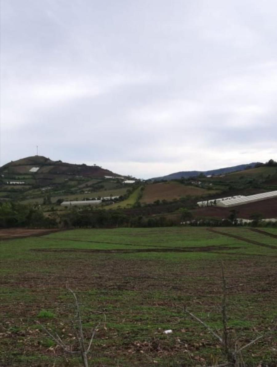 Foto Lote en Venta en Pasto, Nariño - LOV199481 - BienesOnLine