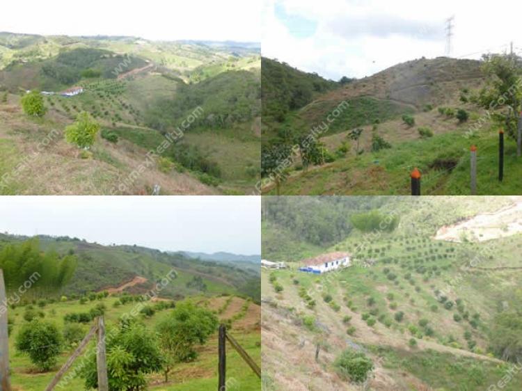 Foto Finca en Venta en Av. El Poblado, Medellín, Antioquia - FIV45885 - BienesOnLine