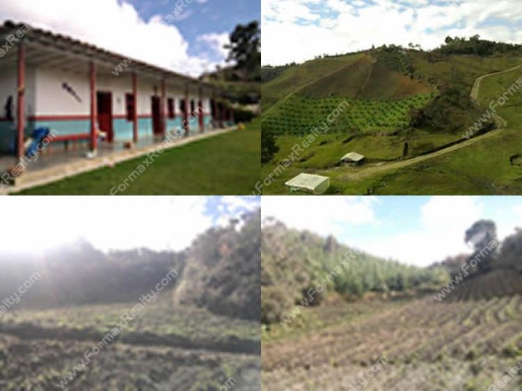 Foto Finca en Venta en Av. El Poblado, Medellín, Antioquia - FIV45889 - BienesOnLine