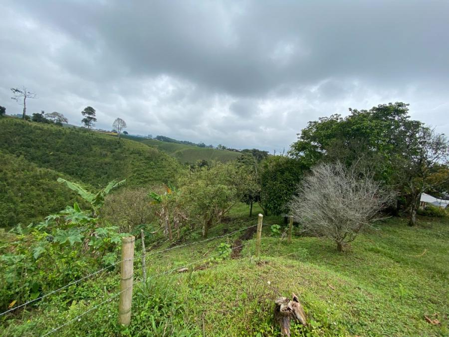 Foto Finca en Venta en Rural, Filandia, Quindío - $ 1.500.000.000 - FIV201976 - BienesOnLine