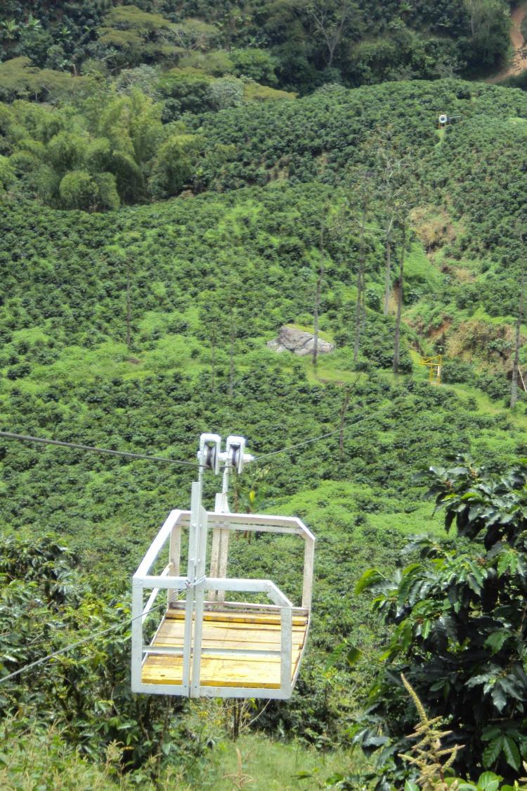 AGUABONITA FINCA CAFETERA CERTIFICADA