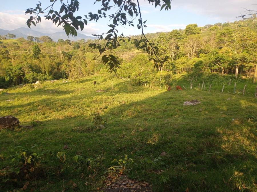 Foto Finca en Venta en Vereda Lucerna, El Colegio, Cundinamarca - 1 hectareas - $ 370.000.000 - FIV207604 - BienesOnLine