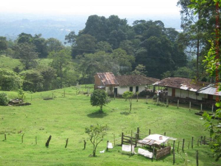 Finca Ideal Para el Café - QUINDIO