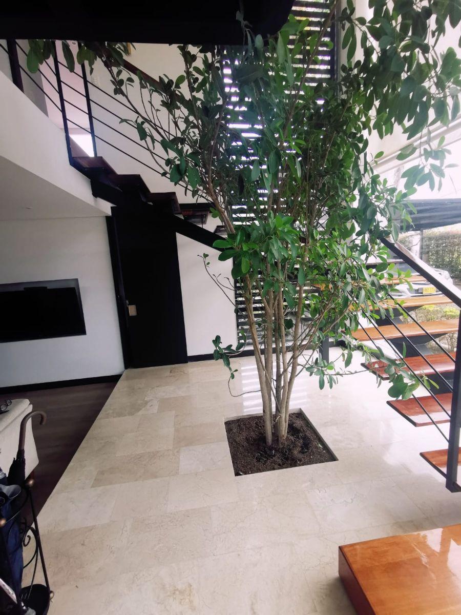 Foto Casa en Venta en fusagasuga, FUSAGASUGA  CUNDINAMARCA COLOMBIA, Cundinamarca - $ 1.280.000.000 - CAV202214 - BienesOnLine