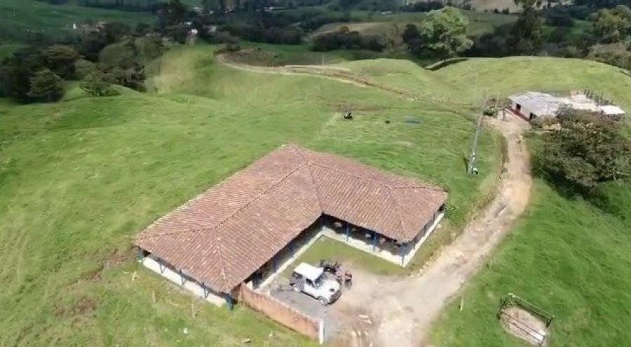 Finca en Venta en San Felix, Antioquia, 20 cuadras