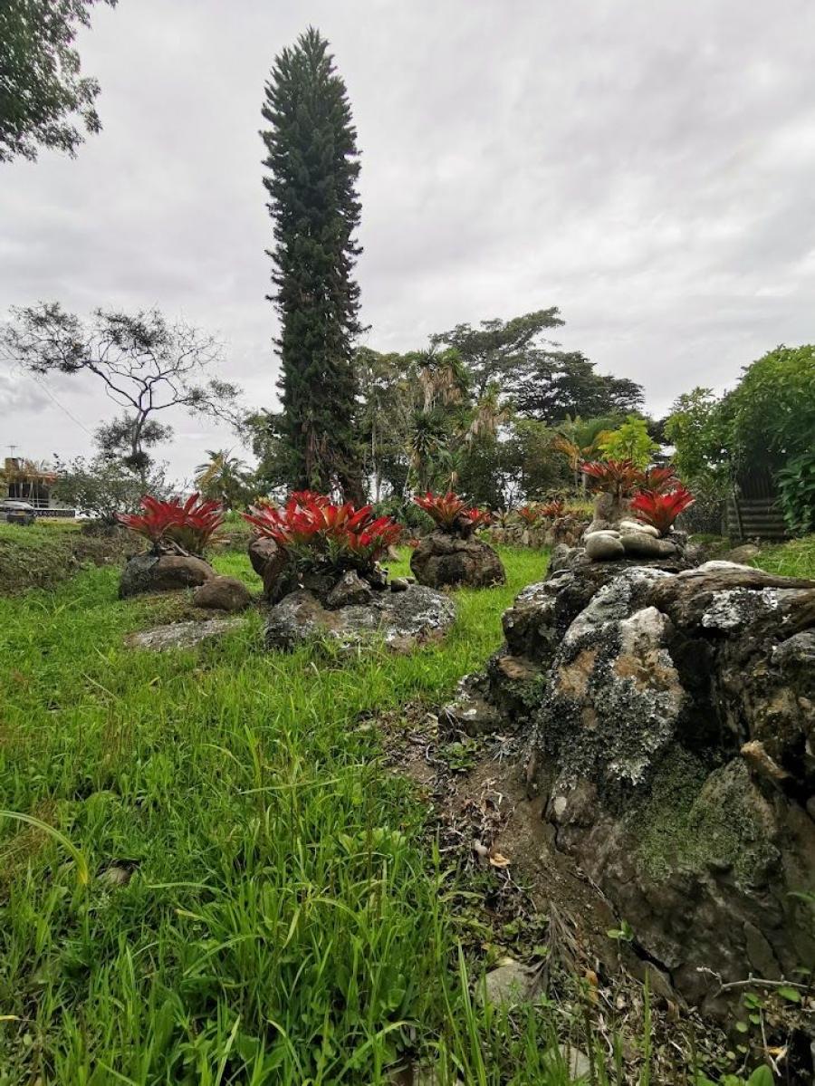 Foto Casa en Venta en fusagasuga, FUSAGASUGA, Cundinamarca - CAV198838 - BienesOnLine