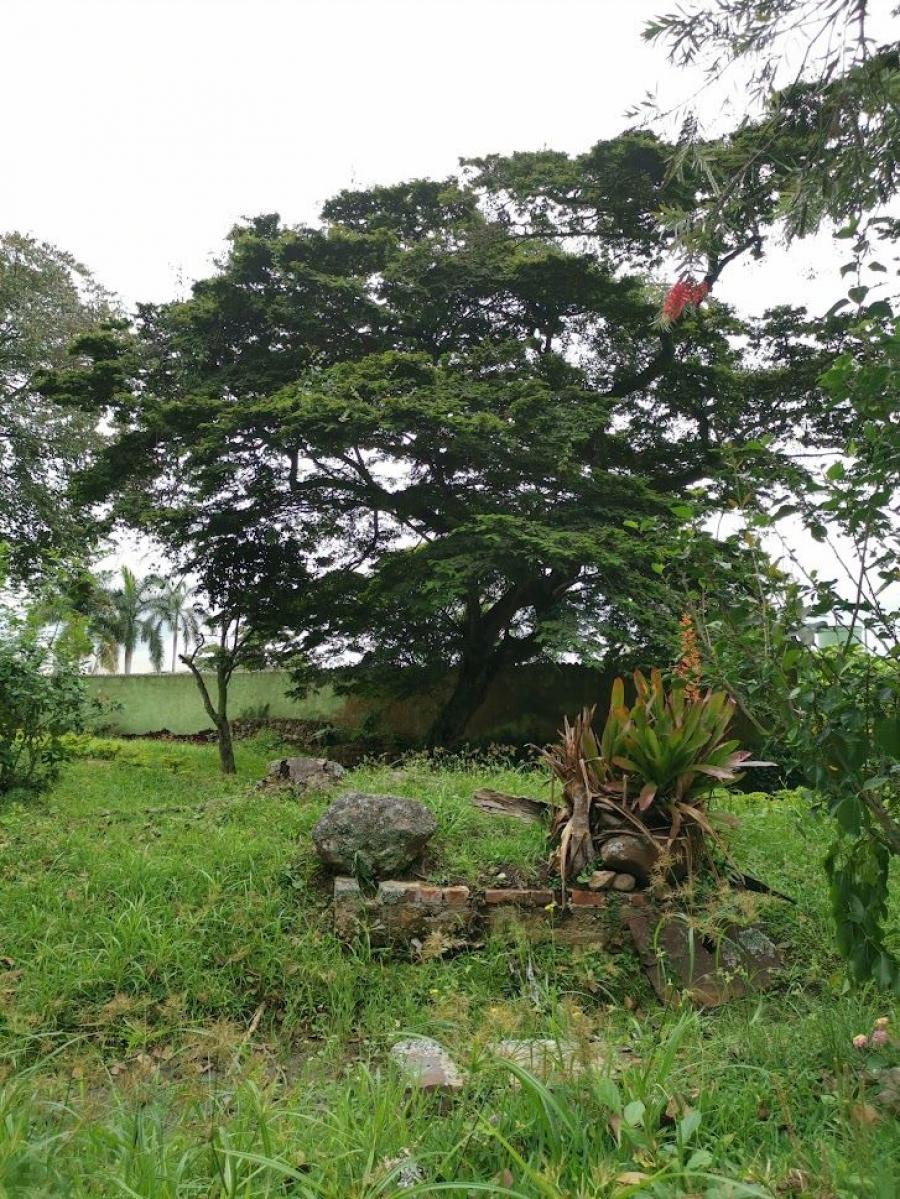 Foto Lote en Venta en fusagasuga, FUSAGASUGA  CUNDINAMARCA COLOMBIA, Cundinamarca - LOV206167 - BienesOnLine