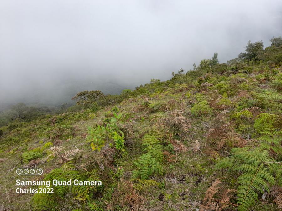 Foto Finca en Venta en San Juan bajo junto a la Escuela, Pasto, Nariño - $ 15.000.000 - FIV126608 - BienesOnLine