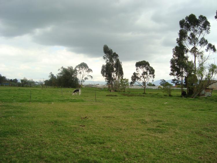 Foto Lote en Venta en mosquera, Mosquera, Cundinamarca - $ 2.147.483.647 - LOV19686 - BienesOnLine