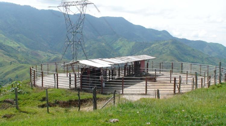 Foto Finca en Venta en VIA PANORAMA, Toro, Valle del Cauca - 285 hectareas - $ 3.122.000.000 - FIV51253 - BienesOnLine