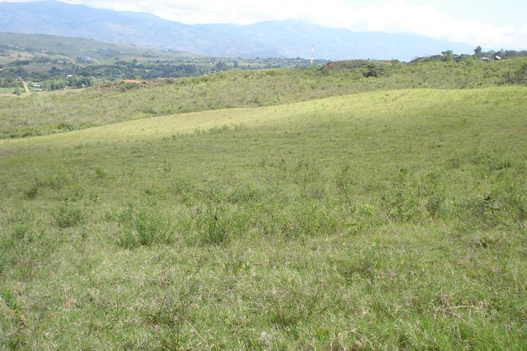 Foto Finca en Venta en Borrero Ayerbe, Dagua, Valle del Cauca - 32 hectareas - $ 736.000.000 - FIV2023 - BienesOnLine