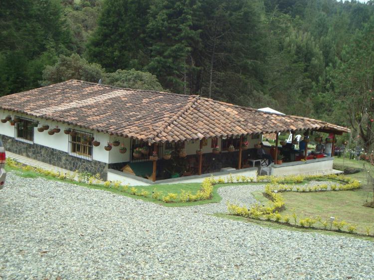 Foto Finca en Venta en , Antioquia - $ 278.000.000 - FIV46631 - BienesOnLine