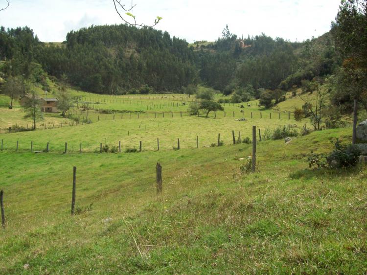 Foto Lote en Venta en Entre pantano de vargas y paipa, a 2 kilometros de, Duitama, Boyacá - 23 hectareas - $ 270.000.000 - LOV46572 - BienesOnLine