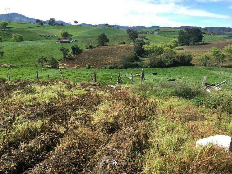 EL CARMEN DE VIBORAL LA UNIÓN