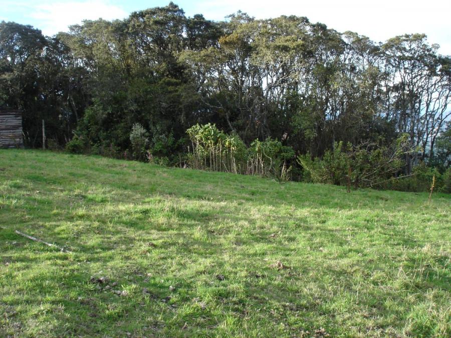 Foto Lote en Venta en Bojaca, Chía, Cundinamarca - $ 170.000.000 - LOV163927 - BienesOnLine