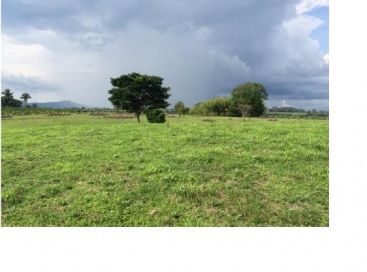 Foto Lote en Venta en VIA ARMENIA AEROPUERTO EL EDEN, VIA ARMENIA AEROPUERTO EL EDEN, Quindo - 4 hectareas - $ 2.600.000.000 - LOV146801 - BienesOnLine